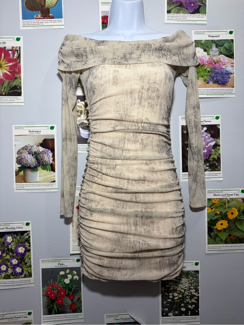 Princess Polly Off-Shoulder Ruched Bodycon Dress in Taupe Wash